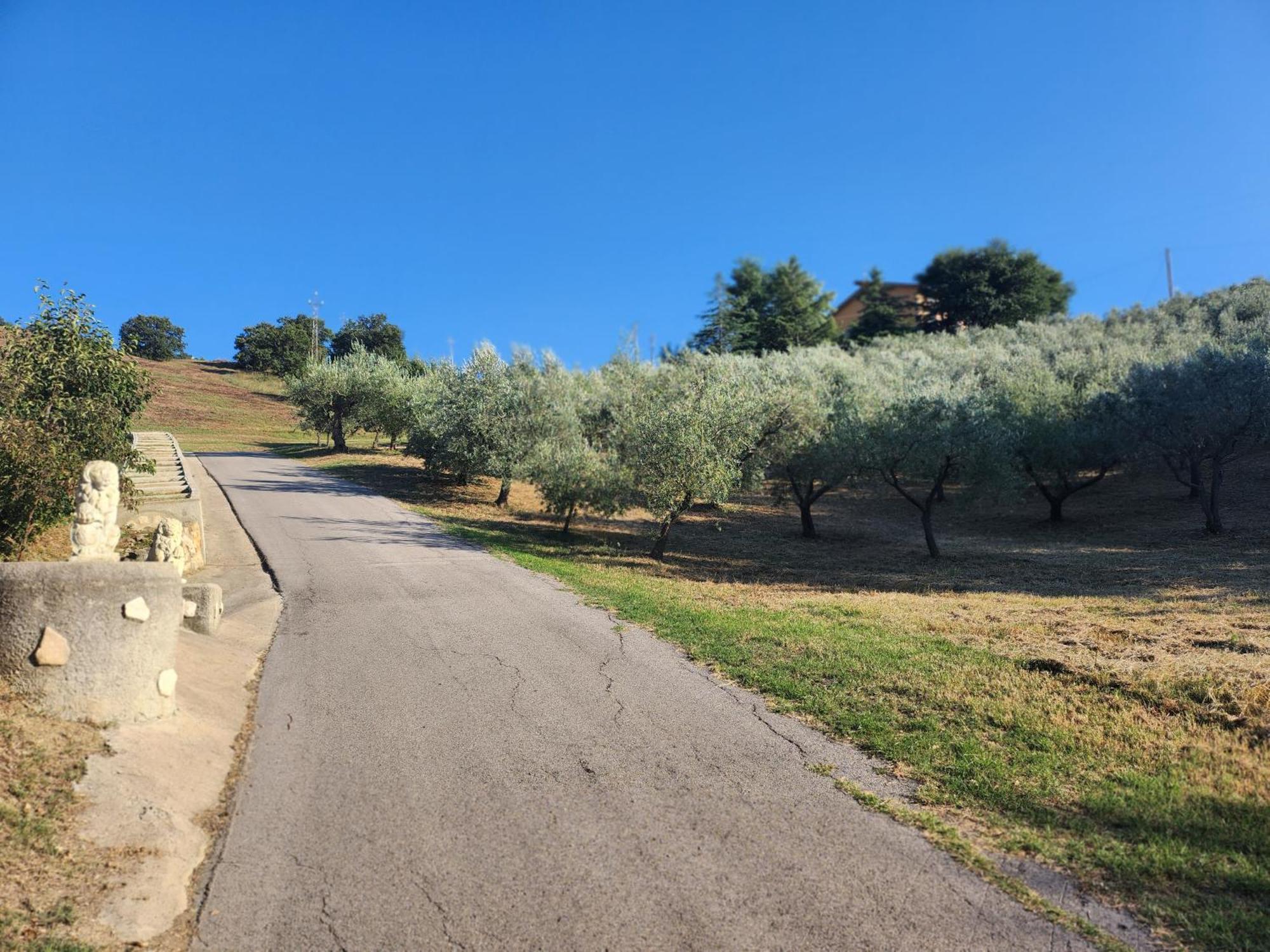 Casa Dei Nonni Villa Roccascalegna Exterior foto